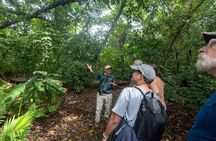 Forest & Rocks (Hanging Bridges & Volcano Hike)