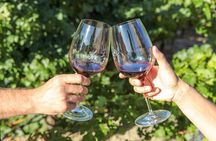 Paso Robles Gold Reserve Flight