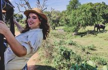 Yala National Park special Half-Day & Full-Day Safari Adventure 