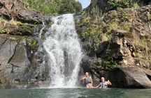 North Shore day,Waterfalls and Turtles Tour
