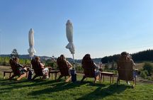 Custom Willamette Wine Tours from The Allison Inn and Spa