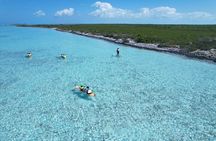 3hr Clear Kayak Tour of Mangroves, Marine Life and Iguanas