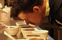 Panama Crafted Geisha Coffee Tasting Experience 