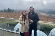 Winter Focused Willamette Valley Wine Tour (Tastings Included)