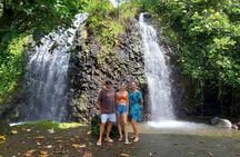 Shared 4.5h Circle Island Tour of Tahiti Nui by Lydia