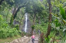 Shared 4.5h Circle Island Tour of Tahiti Nui by Lydia