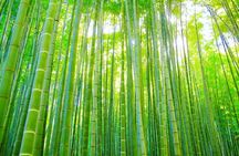 Buddha, Bamboo & Zen - Bespoke Kamakura Private Walking Tours