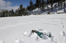 Ultimate Snowplay Adventure at Mount Charleston