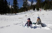 Ultimate Snowplay Adventure at Mount Charleston