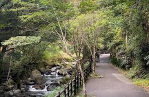 Kawazu Seven Falls Guided Tour