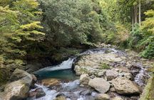 Kawazu Seven Falls Guided Tour