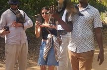 Gede Ruins & Malindi Tour