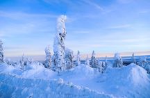 Arctic Circle Day Tour Adventure