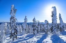 Arctic Circle Day Tour Adventure