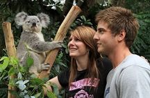 PRIVATE Blue Mountains, Scenic World & Australian Wildlife Tour