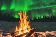 Northern Lights Experience