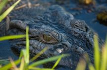 Kakadu National Park, Yellow Water River Cruise, Small Group 3C