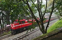Alishan One Day Tour from Taichung
