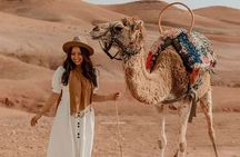 Half-Day Private Camel Riding in Agafay Desert with Pick Up