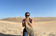 Full day | Paracas- Huacachina ALL included | From Lima