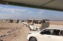 2 Days Etosha Safari Guided Tour