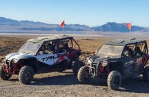 Las Vegas Desert Buggy Experience