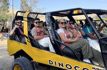 Paracas and Huacachina Day Trip from Lima
