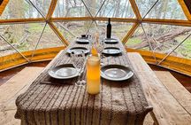 4W4 Adventure in Lagos Full Day with Roast 