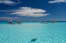 Grand Cayman 3-Stop Snorkel Adventure: Stingray City & Reefs Tour