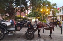Colonial Carriage with Private Horse through the Ancient City 