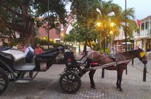 Colonial Carriage with Private Horse through the Ancient City 