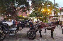 Colonial Carriage with Private Horse through the Ancient City 