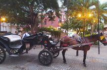 Colonial Carriage with Private Horse through the Ancient City 