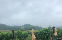 Virginia Winery Excursion by Luxury Vehicle Three wineries