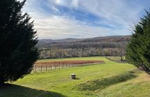 Virginia Winery Excursion by Luxury Vehicle Three wineries