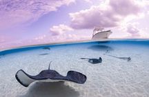 Cayman Adventure Stingrays Starfish plus Crystal Caves 