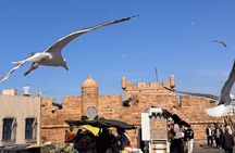Private Full Day Trip Essaouira from Marrakech