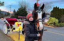Old fashioned Horse Drawn Caroling Tour