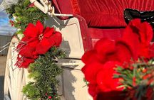 Old fashioned Horse Drawn Caroling Tour