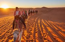  4 Day desert trip from Fes to Marrakech and 2 night in merzouga 