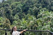 Tamborine Explorer from Gold Coast 