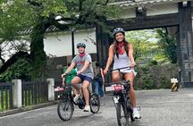 Off the beaten path E-bike tour tokyo with Local guide, 3hrs 