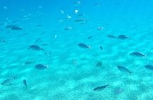 Kos: Catamaran Small Group Full-Day trip with Meal, Drinks, Swim