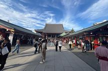 Cherry Blossom & Private Tokyo Tour with English Speaking Guide