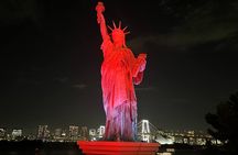 Cherry Blossom & Private Tokyo Tour with English Speaking Guide