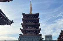 Cherry Blossom & Private Tokyo Tour with English Speaking Guide