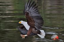 Day Trip to Debra Zeit