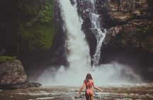 Ubud's Hidden Bali: Rice Field Trek, Sacred Temple & Waterfalls