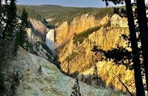 #1 Special Yellowstone Hot Spots Lower Loop From Cody Wy!