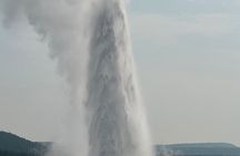 #1 Special Yellowstone Hot Spots Lower Loop From Cody Wy!